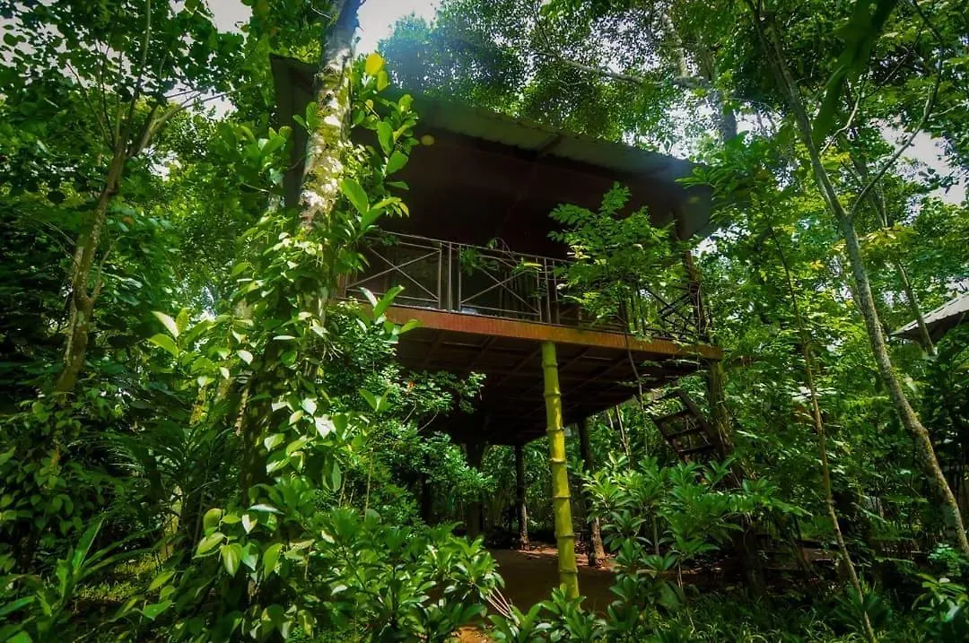 Villa Monsoon Retreats Treehouse Thekkady