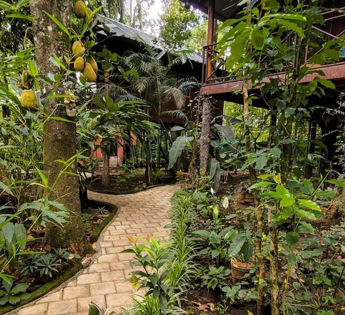 Lodge Villa Monsoon Retreats Treehouse Thekkady